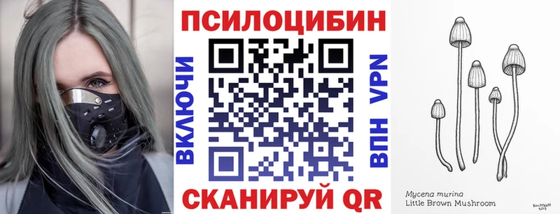 blacksprut сайт  Чернушка  Галлюциногенные грибы Psilocybe 